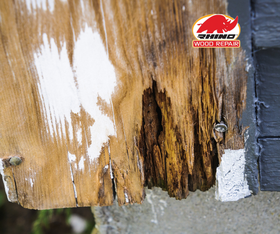 Termite Damage vs. Wood Rot: Key Differences and How to Address Them