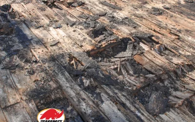 How Long Does It Take for Wood to Rot?